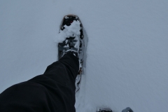 2025 SAC RS Schneeschuh Leimensteig