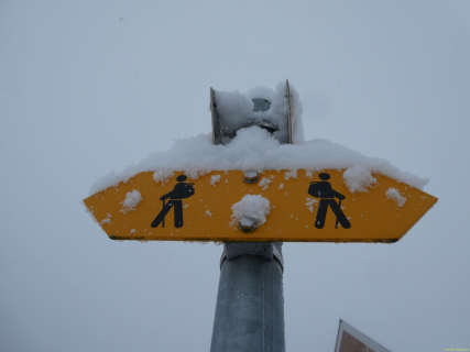 2025-11-26-SAC-RS-Leimensteig-22