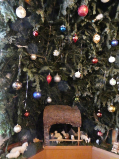 2025-11-26-SAC-RS-Leimensteig-30