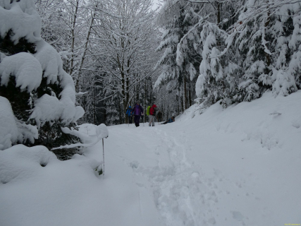 2025-11-26-SAC-RS-Leimensteig-60