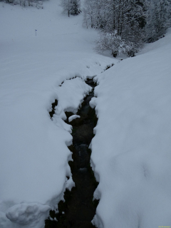 2025-11-26-SAC-RS-Leimensteig-71