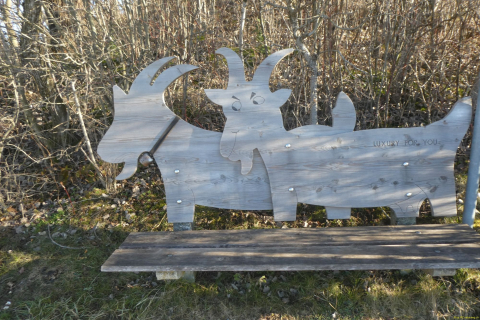 2025-01-21-SAC-RS-Schwaebrig-14