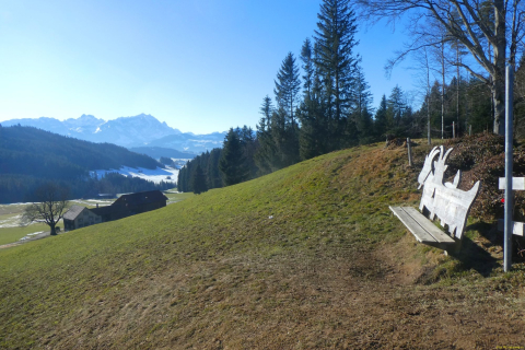 2025-01-21-SAC-RS-Schwaebrig-54_bearbeitet-1