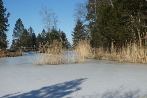 2025-01-21-SAC-RS-Schwaebrig-62