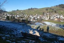 2025-01-21-SAC-RS-Schwaebrig-09