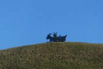 2025-01-21-SAC-RS-Schwaebrig-22_bearbeitet-1