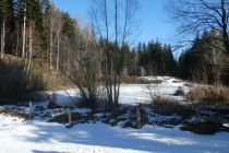 2025-01-21-SAC-RS-Schwaebrig-52