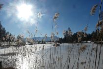 2025-01-21-SAC-RS-Schwaebrig-58