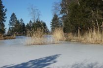 2025-01-21-SAC-RS-Schwaebrig-62