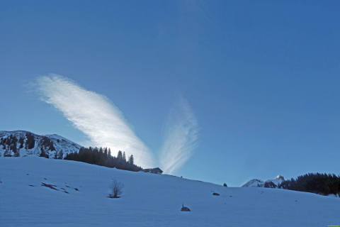 2025-03-04-SAC-RS-Ski-Nolla-05_bearbeitet-1