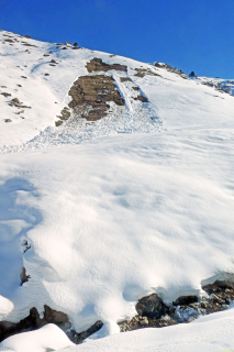 2025-03-04-SAC-RS-Ski-Nolla-28_bearbeitet-1