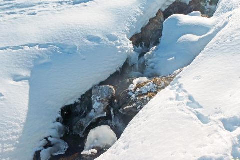 2025-03-04-SAC-RS-Ski-Nolla-29_bearbeitet-1