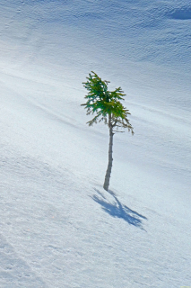 2025-03-04-SAC-RS-Ski-Nolla-30_bearbeitet-1