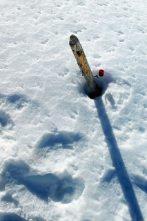 2025-03-04-SAC-RS-Ski-Nolla-31_bearbeitet-1