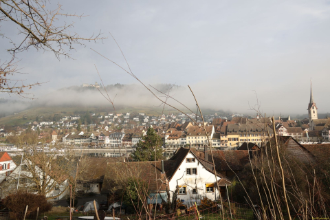 2025-12-10-SAC-RS-Stein-am-Rhein-Advent-Krippen-Maerli-Froschkoenig-R6II6039
