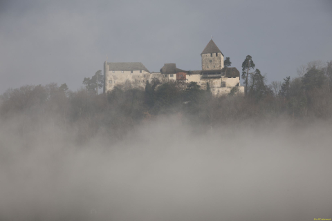2025-12-10-SAC-RS-Stein-am-Rhein-Advent-Krippen-Maerli-Froschkoenig-R6II6040