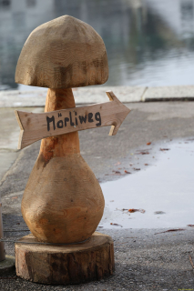 2025-12-10-SAC-RS-Stein-am-Rhein-Advent-Krippen-Maerli-Froschkoenig-R6II6051