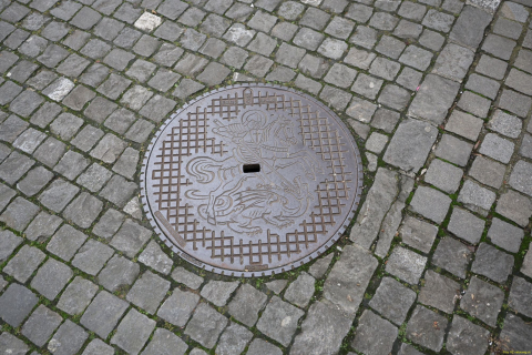 2025-12-10-SAC-RS-Stein-am-Rhein-Advent-Krippen-Maerli-Froschkoenig-R6II6054