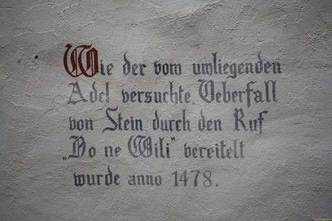 2025-12-10-SAC-RS-Stein-am-Rhein-Advent-Krippen-Maerli-Froschkoenig-R6II6078