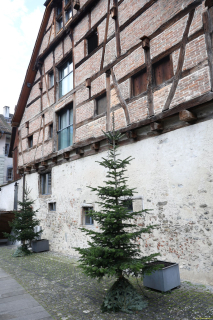2025-12-10-SAC-RS-Stein-am-Rhein-Advent-Krippen-Maerli-Froschkoenig-R6II6115