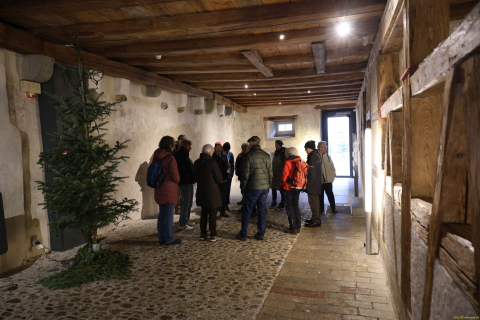 2025-12-10-SAC-RS-Stein-am-Rhein-Advent-Krippen-Maerli-Froschkoenig-R6II6121