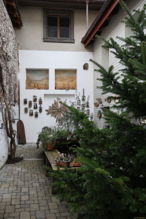 2025-12-10-SAC-RS-Stein-am-Rhein-Advent-Krippen-Maerli-Froschkoenig-R6II6145