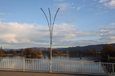 2025-12-10-SAC-RS-Stein-am-Rhein-Advent-Krippen-Maerli-Froschkoenig-R6II6200