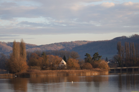 2025-12-10-SAC-RS-Stein-am-Rhein-Advent-Krippen-Maerli-Froschkoenig-R6II6201