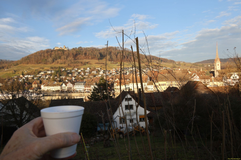 2025-12-10-SAC-RS-Stein-am-Rhein-Advent-Krippen-Maerli-Froschkoenig-R6II6203