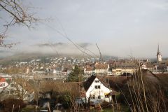 2025-12-10-SAC-RS-Stein-am-Rhein-Advent-Krippen-Maerli-Froschkoenig-R6II6039