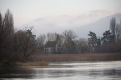 2025-12-10-SAC-RS-Stein-am-Rhein-Advent-Krippen-Maerli-Froschkoenig-R6II6087