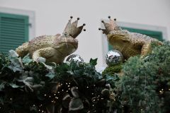 2025-12-10-SAC-RS-Stein-am-Rhein-Advent-Krippen-Maerli-Froschkoenig-R6II6109