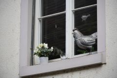 2025-12-10-SAC-RS-Stein-am-Rhein-Advent-Krippen-Maerli-Froschkoenig-R6II6114