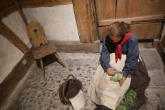 2025-12-10-SAC-RS-Stein-am-Rhein-Advent-Krippen-Maerli-Froschkoenig-R6II6119