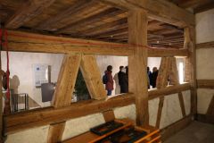 2025-12-10-SAC-RS-Stein-am-Rhein-Advent-Krippen-Maerli-Froschkoenig-R6II6120