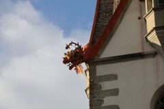 2025-12-10-SAC-RS-Stein-am-Rhein-Advent-Krippen-Maerli-Froschkoenig-R6II6188