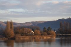2025-12-10-SAC-RS-Stein-am-Rhein-Advent-Krippen-Maerli-Froschkoenig-R6II6201