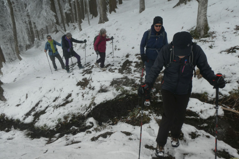 2025-02-18-SAC-RS-WW-Gaebris-79