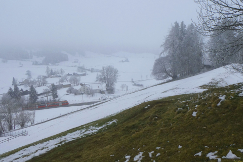 2025-02-18-SAC-RS-WW-Gaebris-86_bearbeitet-1