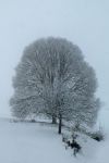 2025-02-18-SAC-RS-WW-Gaebris-17_bearbeitet-1
