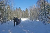 2025-02-18-SAC-RS-WW-Gaebris-46_bearbeitet-1