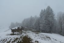 2025-02-18-SAC-RS-WW-Gaebris-85