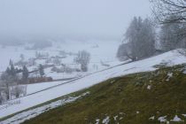 2025-02-18-SAC-RS-WW-Gaebris-86_bearbeitet-1