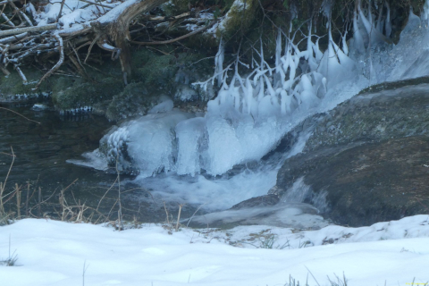 2025-01-14-SAC-RS-WW-Wolzenalp-12