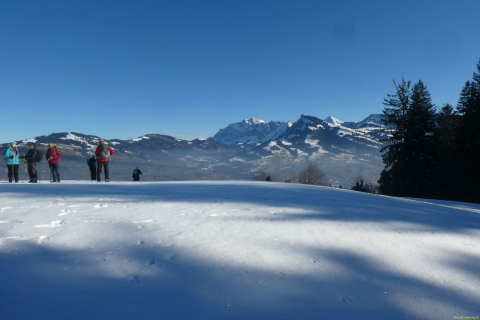 2025-01-14-SAC-RS-WW-Wolzenalp-28