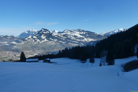 2025-01-14-SAC-RS-WW-Wolzenalp-46