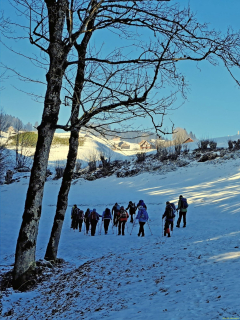 IMG-20250114-WA0012_bearbeitet-1