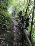 2025-09-16-SAC-Ueble-Schlucht-029