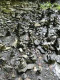 2025-09-16-SAC-Ueble-Schlucht-089