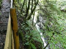 2025-09-16-SAC-Ueble-Schlucht-099